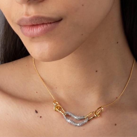 Alexis Bittar Solanales Small Link Necklace- Gold & Silver - Picture 2 of 8